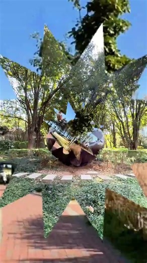 Waiting for a Thousand Years to Get Stuck: Mobile Phone Photography and Video Production