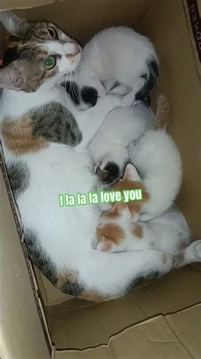 I la la la love you