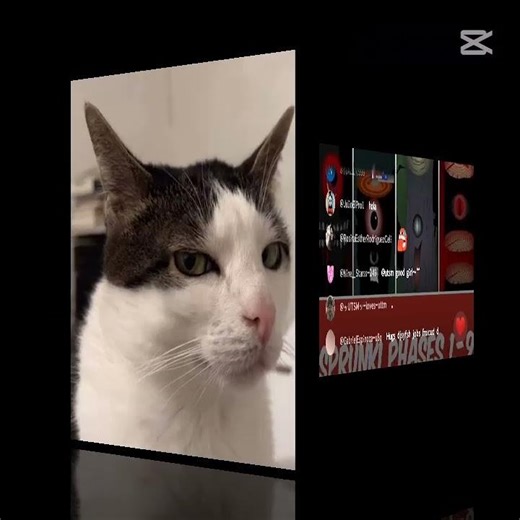 ‪@Nine_Starss-249‬ what-