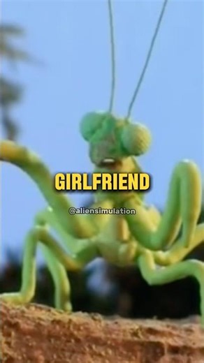 This Is INSANE Actually - Robot Chicken Short Edit