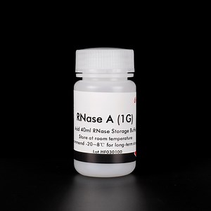 [Hot Item] Rnase a From Bovine Pancreas Enzyme  Ribonuclease a