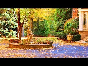 Beautiful Autumn Foliage in Countryside - Autumn Ambience - Fall Leaves Colors and Cozy Homes 4K
