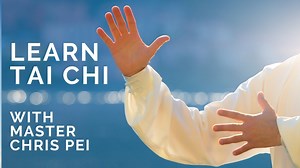 Free Online Course -Understanding Tai Chi: A Comprehensive Beginner's Guide to Mindfulness and Movement | Coursesity