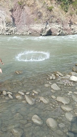 cast net throwing in circles