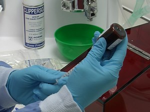 Dorsal Root Ganglion Injection and Dorsal Root Crush Injury as a Model for Sensory Axon Regeneration