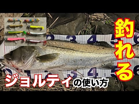 【ブルーブルー】シーバスの餌!?ジョルティシリーズの使い方＆インプレ！