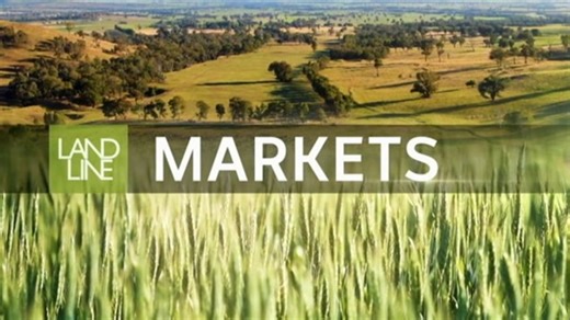 Markets Report: Market activity and analysis