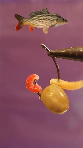 The Ultimate Carp Bait Recipe! 🎣🔥
