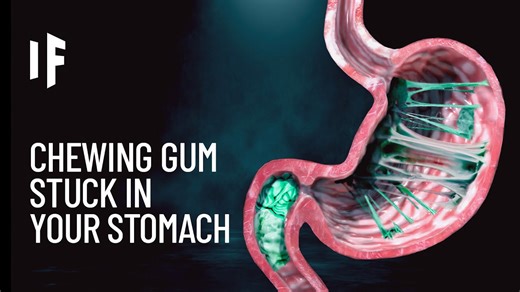 What happens when you swallow your chewing gum