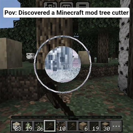 Pov: Discovered a Minecraft mod tree cutter