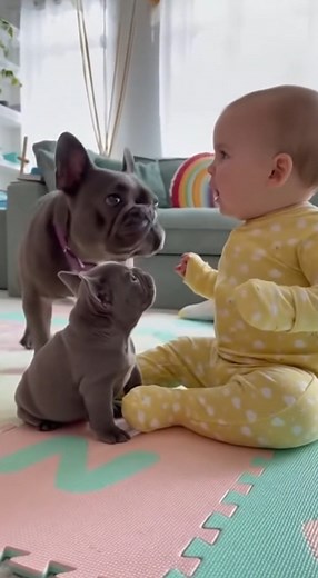 Doggo thinks baby is talking dog . 😂🤣😁🥰😄 #FBReels #ViralVideo #TrendingNow #ReelsDaily #ForYouOnFacebook #pets #animals #cute #dog #cat #puppy #kitten #rescuedog #rescuecat | Eat together
