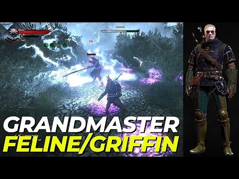 The Witcher 3: Combat/Sign Build | Adrenaline Rush