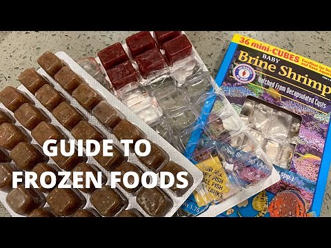 Beginners Guide To Frozen Fish Food