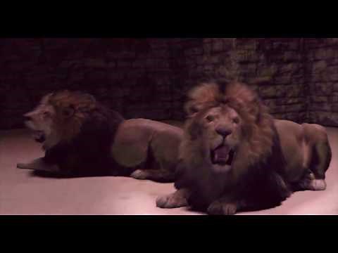 Daniel in the Lions Den