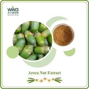 [Hot Item] Hunan World Well-Being Free Sample ISO/FDA/Halal Pharmaceutical Food Areca Catechu Powder Extract 4: 1 10: 1 20: 1 98% Arecoline Areca Nut Extract