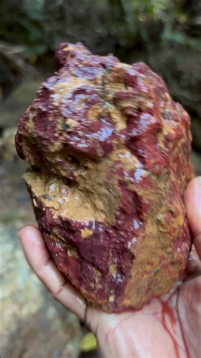 red jasper stone found filled with gold fibers #gemstone #geology #gold #minerals