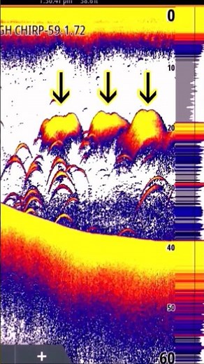 Fish finder EXPLAINED! Sonar for Dummies! Fish finders for beginners! Simrad Airmar