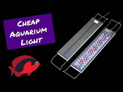 Cheap Aquarium Light Unboxing and Review (AMZBD)