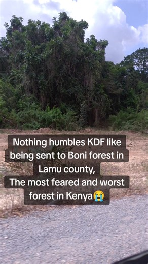 The Challenges of KDF in Boni Forest, Lamu County