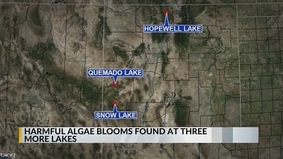Harmful algae blooms found in three more New Mexico lakes