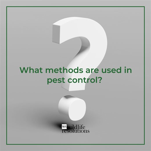 Insecticides, traps, and exclusion methods can be used for effective ant control. Learn which method may work best for your ant infestation. Visit https://www.wildliferesolutions.com/s/t2Z8c3I | Wildlife Resolutions