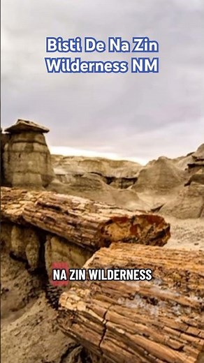 The Alien Desert Hidden in New Mexico 👽🏜️#desert #newmexico #bistidenazinwilderness #badlands