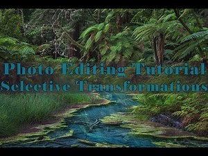 Photo Editing - Selective Image Transformations