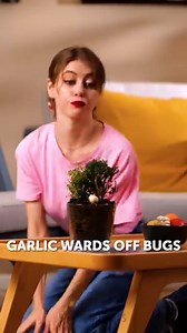 52M views · 324K reactions | A bunch of fresh gardening ideas for you to try this season! | 5-Minute Crafts | Facebook