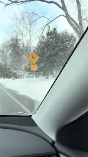 Frozen Ontario - Lake Drive #lakeontario #snow #rochester