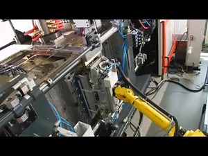 Advaltech - Caps Modilng by Foboha - Cube Mold Technology