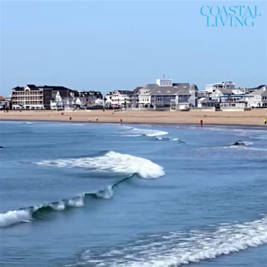 Is your New Year's Resolution to move to the beach? Check out some of our favorite beach towns! 😎 | Coastal Living
