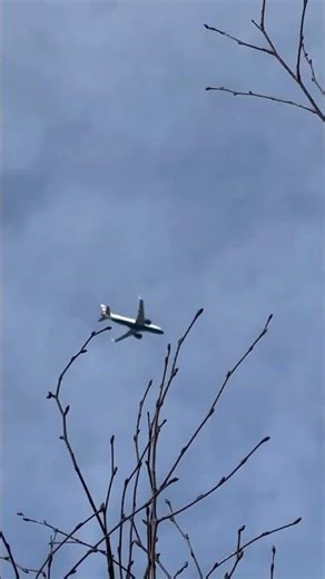 Ba a320 Neo fly over