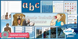 Science: Animals Including Humans Year 4 Unit Additional Resources