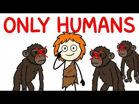 Why Are Humans the Only Apes With White Eyes?