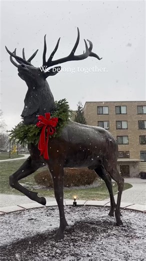 Fairfield University: Embracing Campus Community