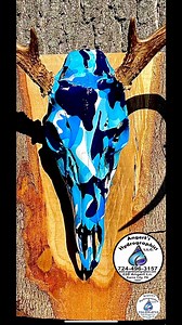 2.4K views · 32 reactions | Check out some finishes that are available on your skull mounts ! #skull #hunt #custom #neat | Angert's Hydrographics | Facebook