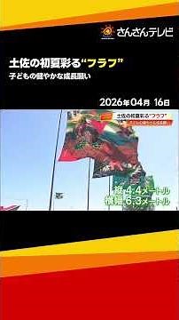この季節がやってきた！端午の節句を前に、土佐の風物詩「フラフ」が青空にはためく【南国市】