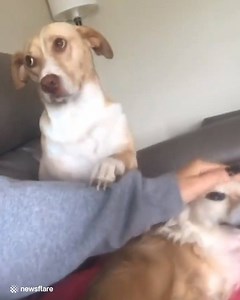 1.1M views · 11K reactions | We all know someone this needy  | VT | Facebook