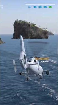 helicopter vs ships