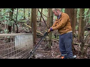 アライグマの電気止め刺し