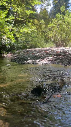 Cazadero living Russian River