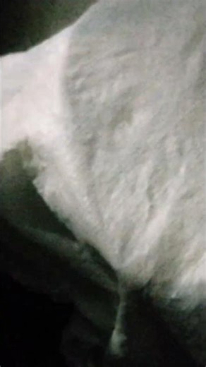 ye Kay ho rha hai.... #eggplant #farming #agrifuture #vegetablefarming #vegetables