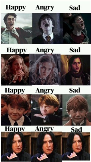 Emotion Level: Harry Potter Characters vs Snape 😂 #usa #shorts #memes #ytshorts