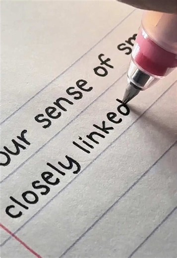Best Pens for Work Notes and Everyday Writing