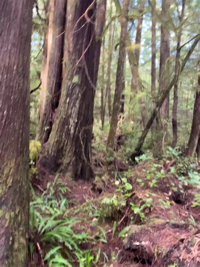 Nature isn’t real. Nature is a human construct that we’ve created that separates ourself from the natural world, the inside from the outside - but us humans are just a bunch of wild animals! Everything that we use, create, eat, etc has its roots in the natural world, we are inherently a part of nature and these natural systems, not a part from them. The misconception that we are somehow separate or outside of nature is really problematic, and has its roots going back thousands of years ago when 