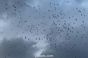 Overcast Videos, Download The BEST Free 4k Stock Video Footage & Overcast HD Video Clips