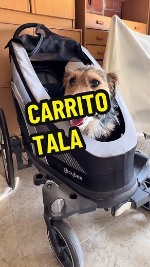 Buscando una solución para tener acompañante en la bicicleta… Desde que Tala apareció no he tenido tiempo para salir a rodar en bicicleta y con la de marchas que tengo por delante miedo me da! He pensado en adaptar el carrito de mi hija para llevarla en la bicicleta pero todavía no puedo… No me coincide el eje pasante. #ciclismo #perro #mascotas #protectora #carrito