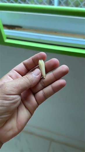 Unbelievable Bone Carving Skills | Buddha Comes to Life!