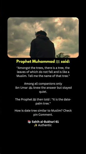 Hadith of Prophet Muhammad ﷺ