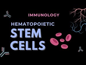 Hematopoiesis | Hematopoietic Stem Cells | Immunology | GATE/CSIR-NET